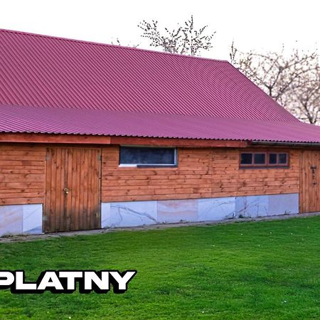 Agroturystyka Nielisz Zamosc - Kwatery Przy Skansenie Extérieur photo